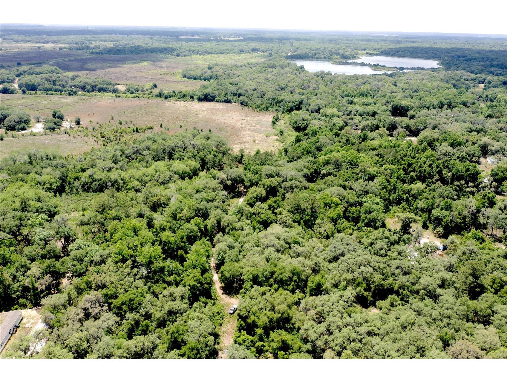 16500 NE 48th Avenue Citra FL 32113 OM723663 image2