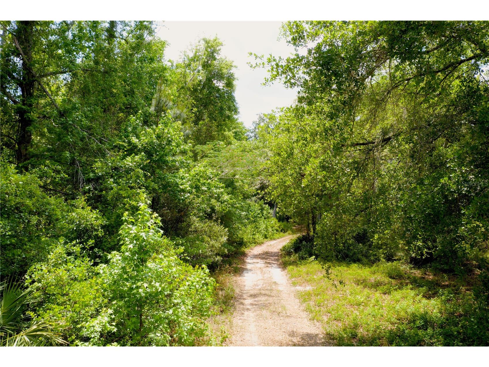 16500 NE 48th Avenue Citra FL 32113 OM723663 image3