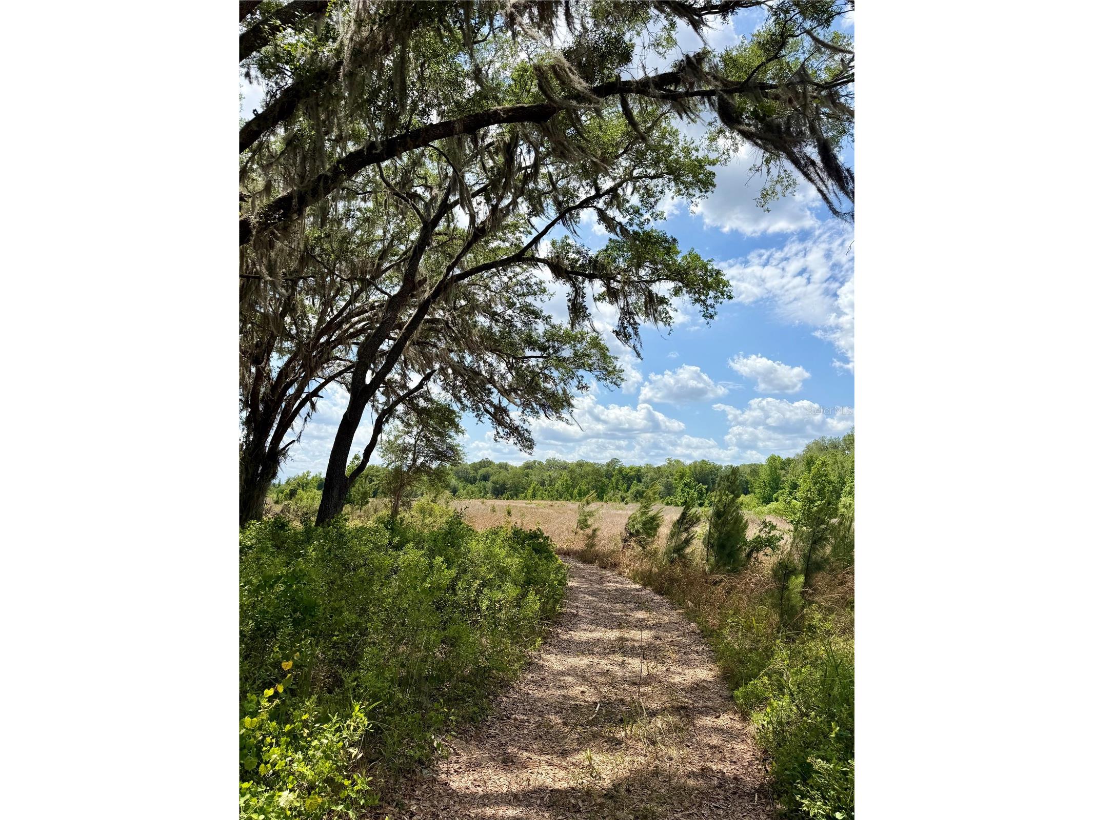 16500 NE 48th Avenue Citra FL 32113 OM723663 image6