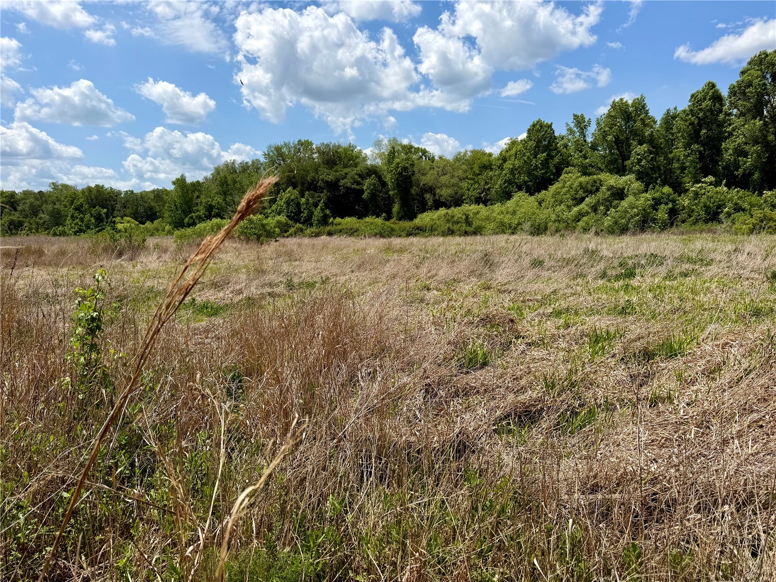 16500 NE 48th Avenue Citra FL 32113 OM723663 image8