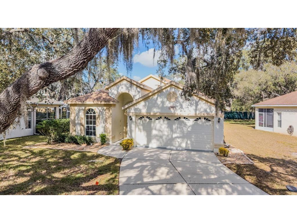 16501 Sandhill Crane Drive Spring Hill FL 34610 TB8464828 image1