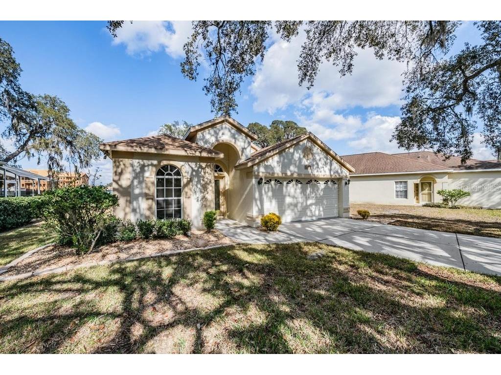 16501 Sandhill Crane Drive Spring Hill FL 34610 TB8464828 image3