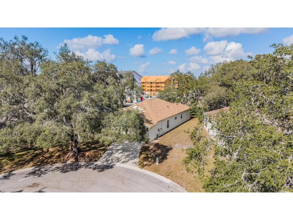 16501 Sandhill Crane Drive Spring Hill FL 34610 TB8464828 image38