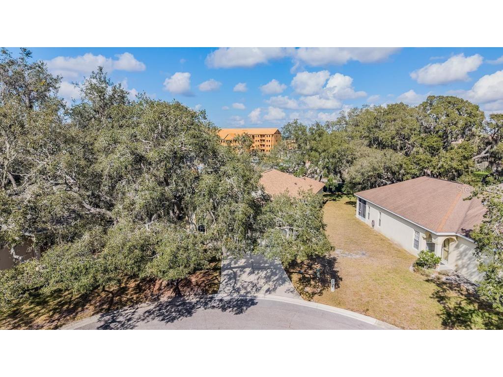 16501 Sandhill Crane Drive Spring Hill FL 34610 TB8464828 image42