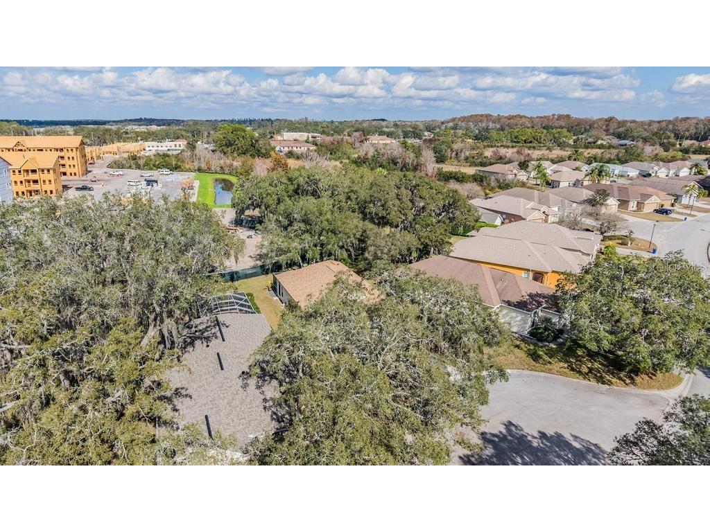 16501 Sandhill Crane Drive Spring Hill FL 34610 TB8464828 image43