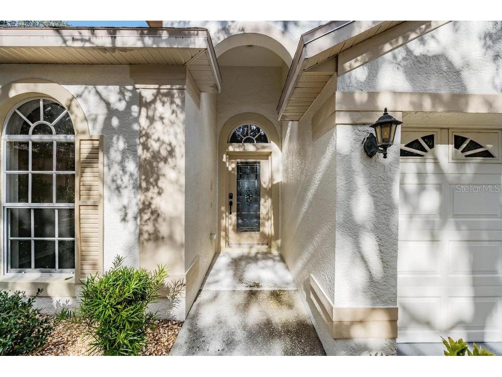 16501 Sandhill Crane Drive Spring Hill FL 34610 TB8464828 image5