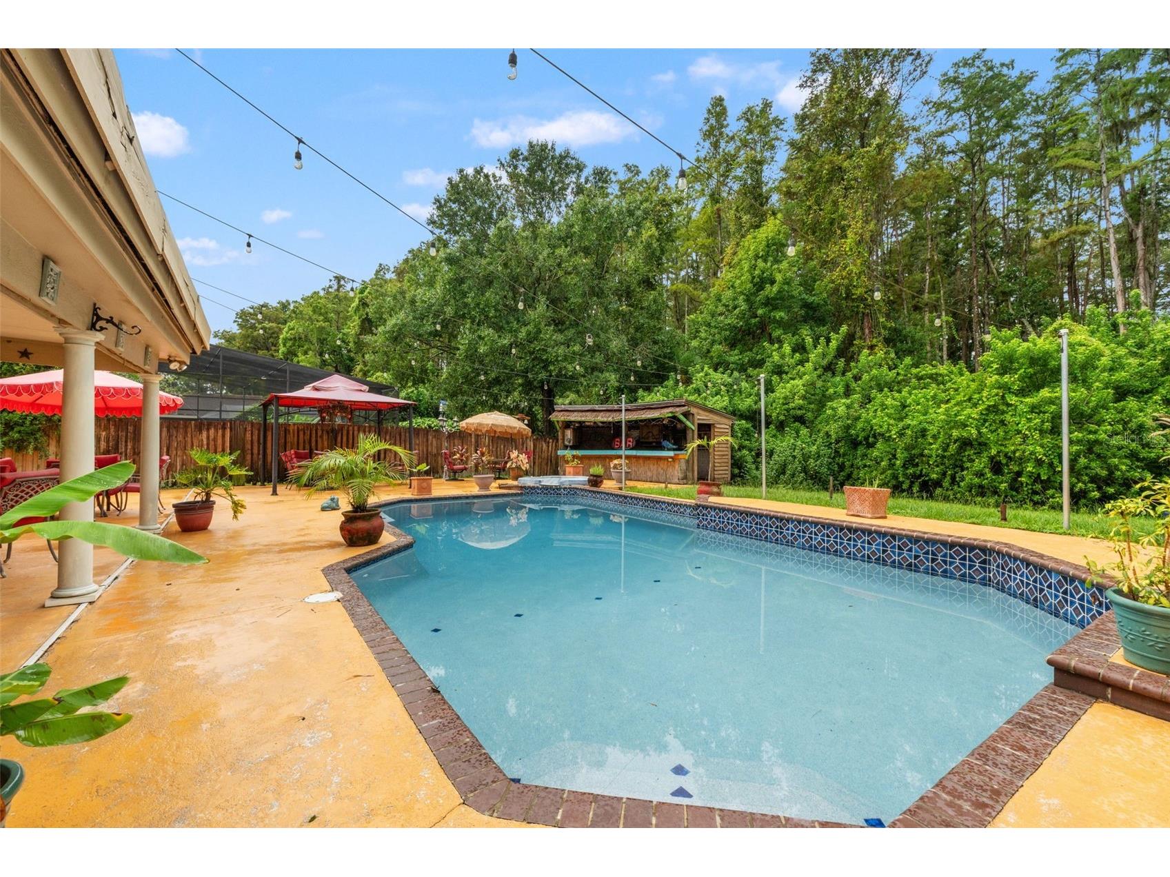 16502 E Course Drive Tampa FL 33624 W7878503 image30