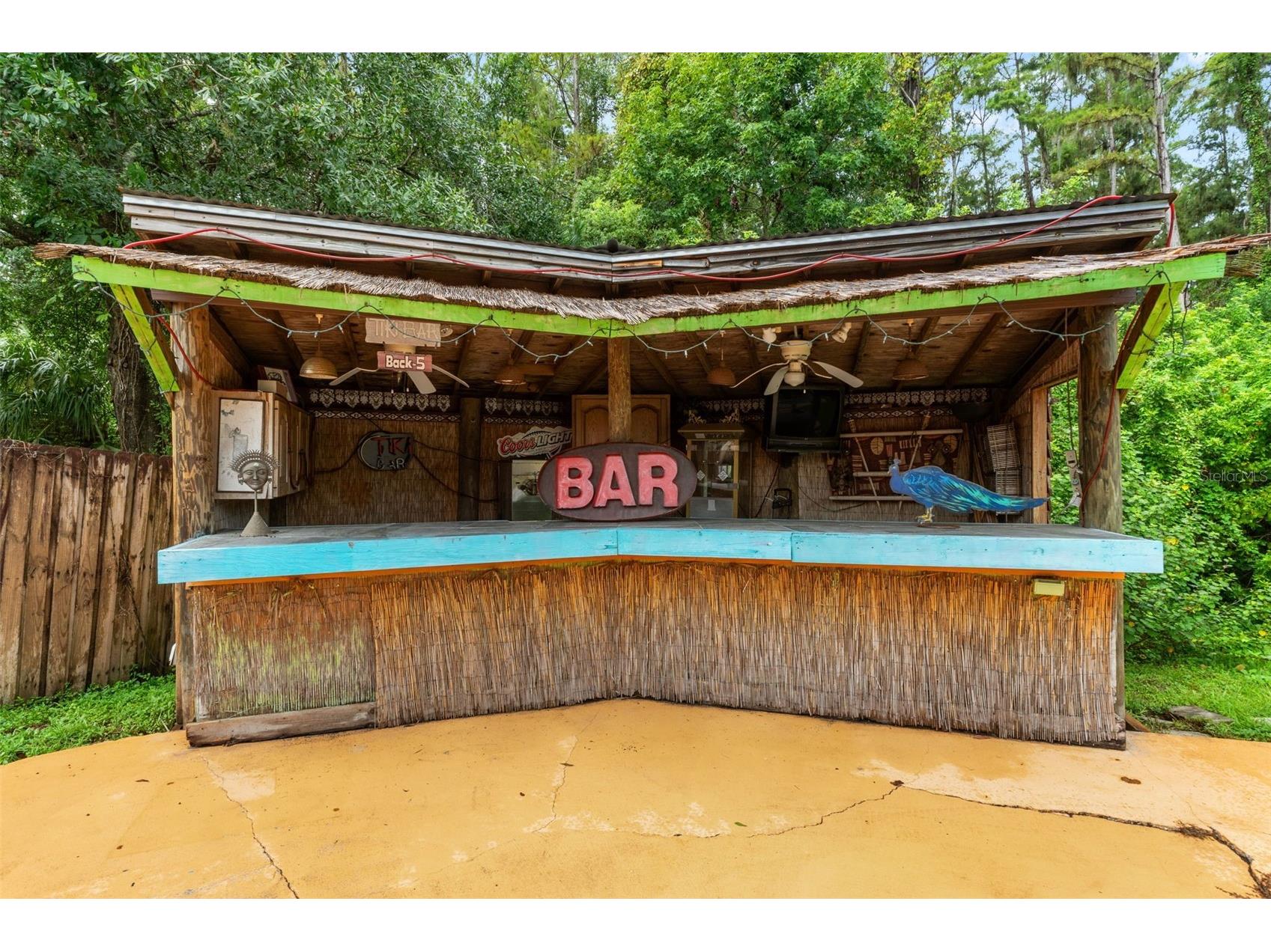 16502 E Course Drive Tampa FL 33624 W7878503 image32