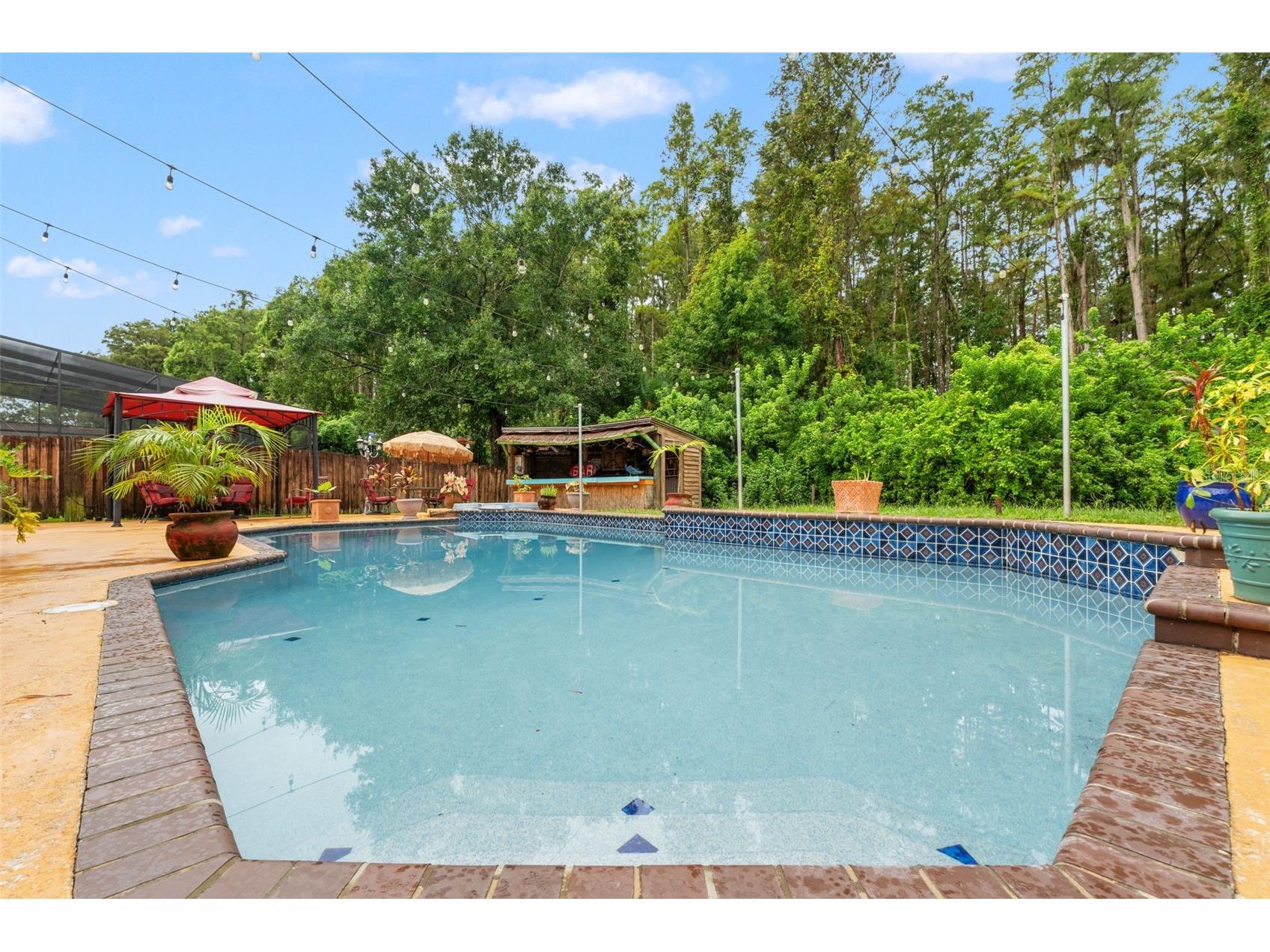 16502 E Course Drive Tampa FL 33624 W7878503 image36