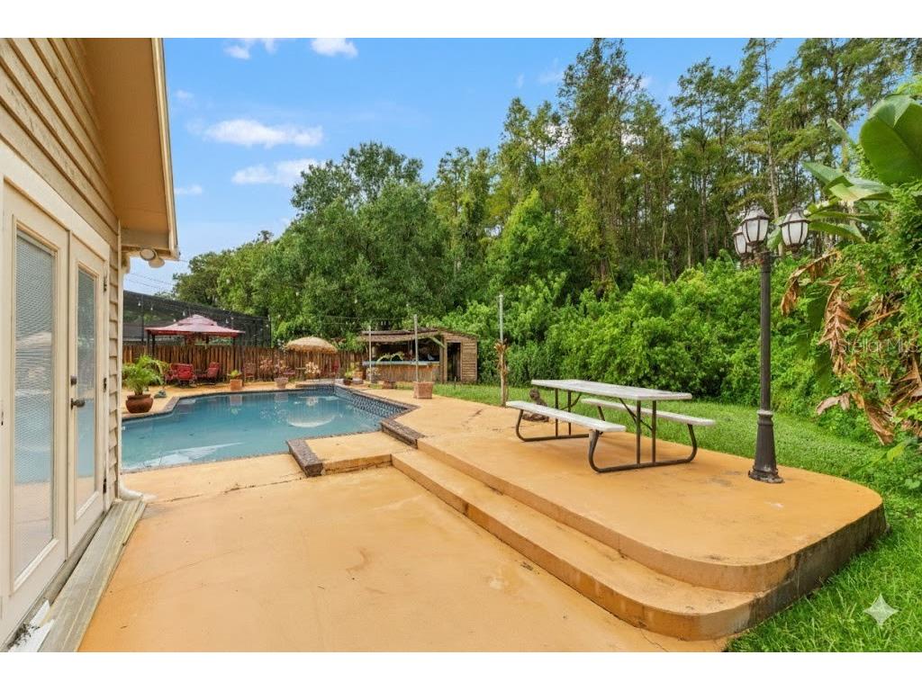 16502 E Course Drive Tampa FL 33624 W7878503 image5