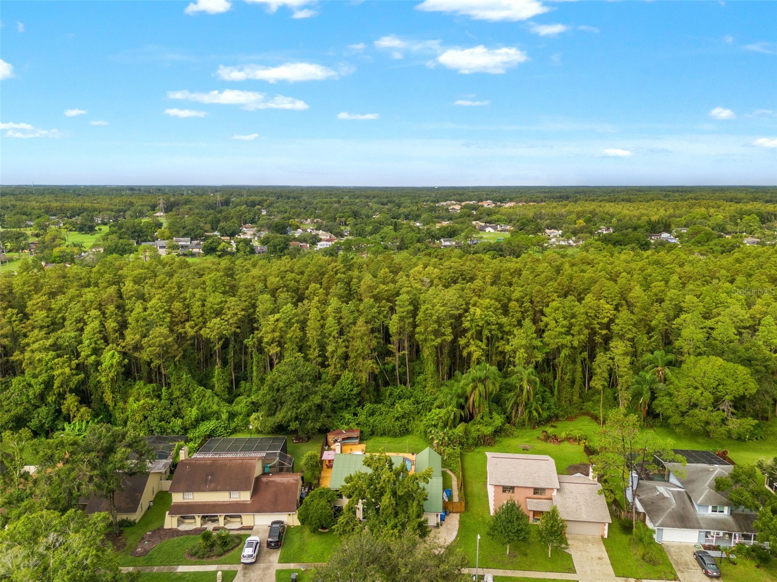 16502 E Course Drive Tampa FL 33624 W7878503 image56