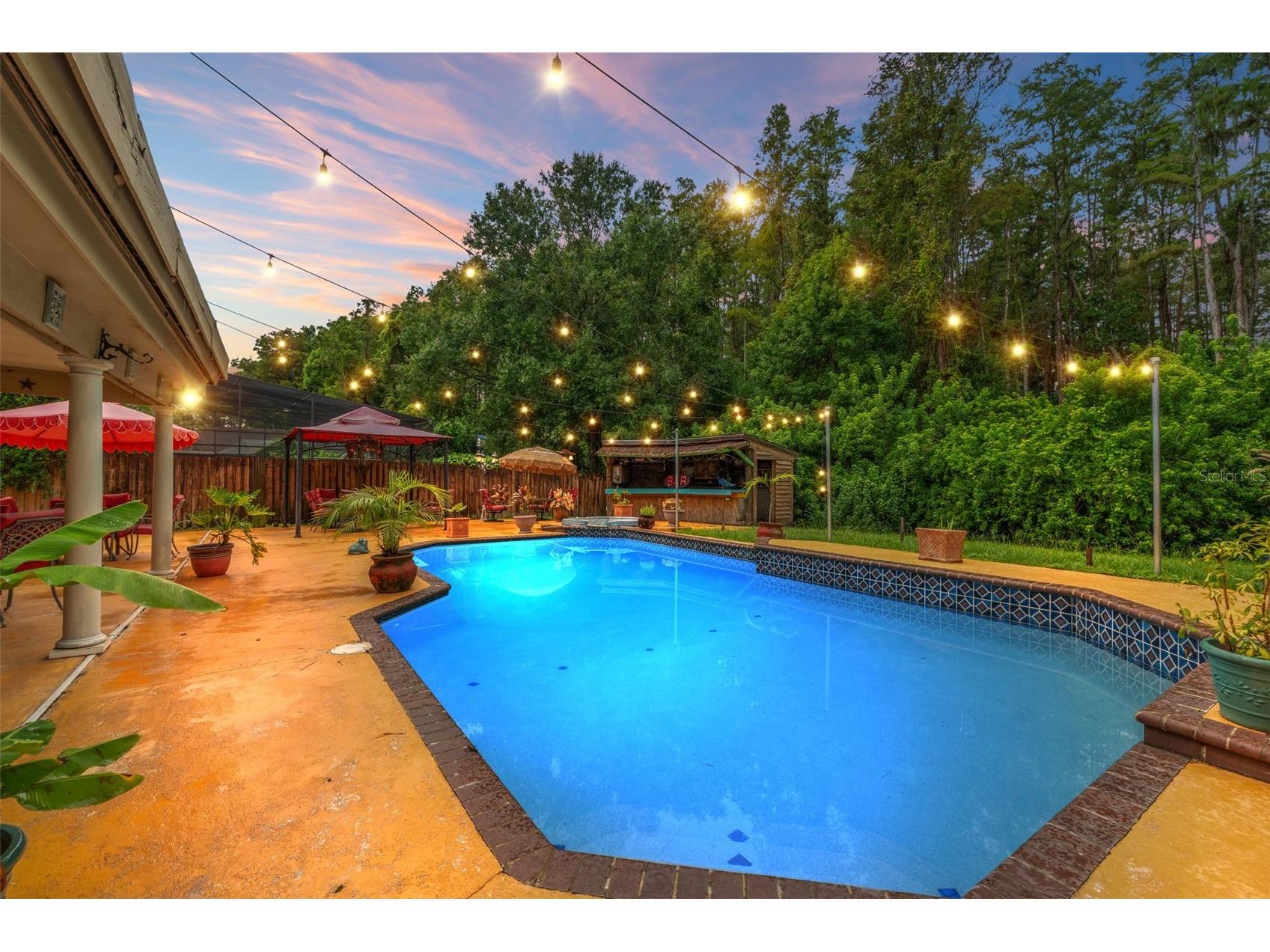 16502 E Course Drive Tampa FL 33624 W7878503 image71