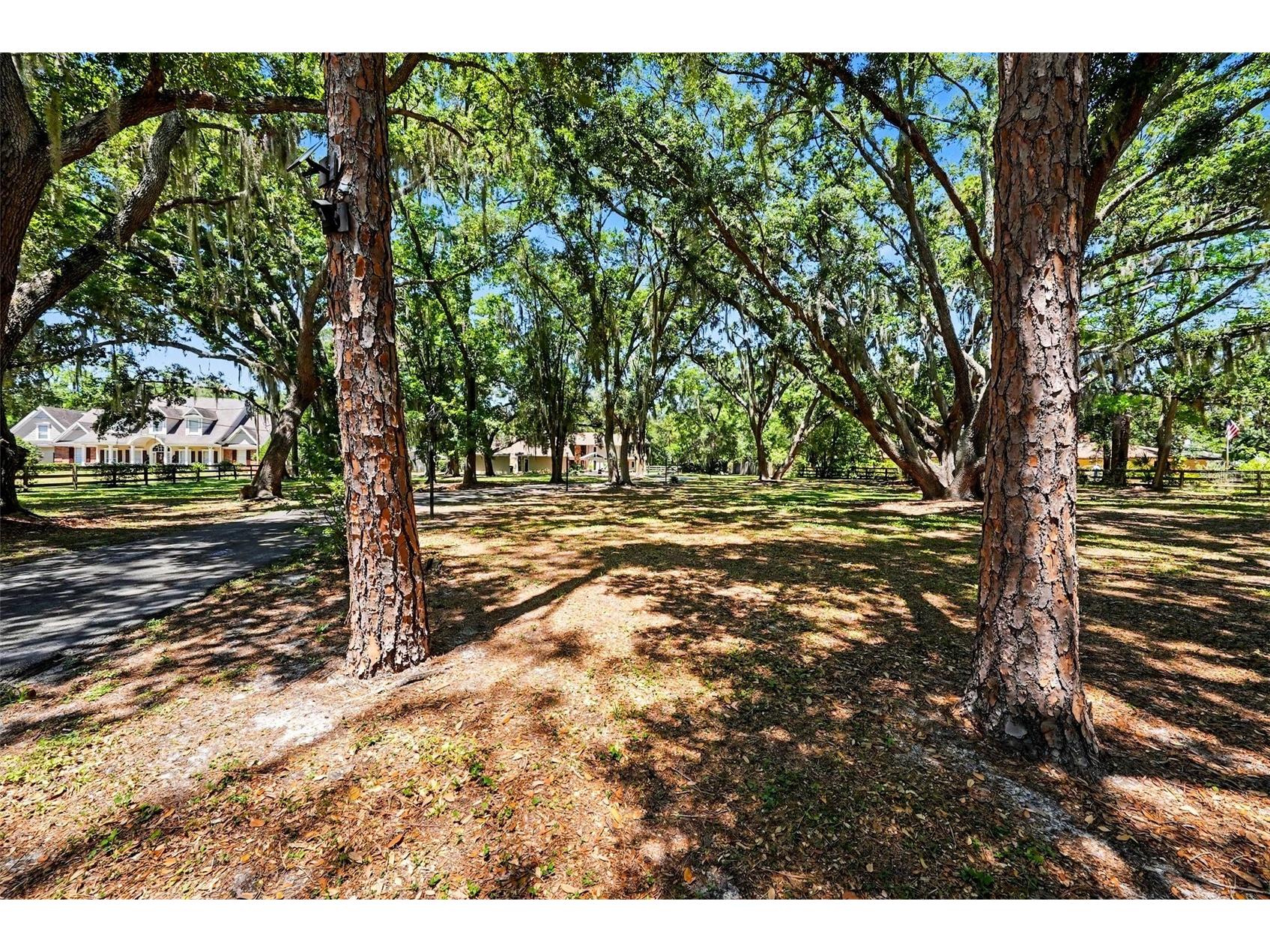 16502 Offenhaur Road Odessa FL 33556 - Rock Lake TB8506398 image52