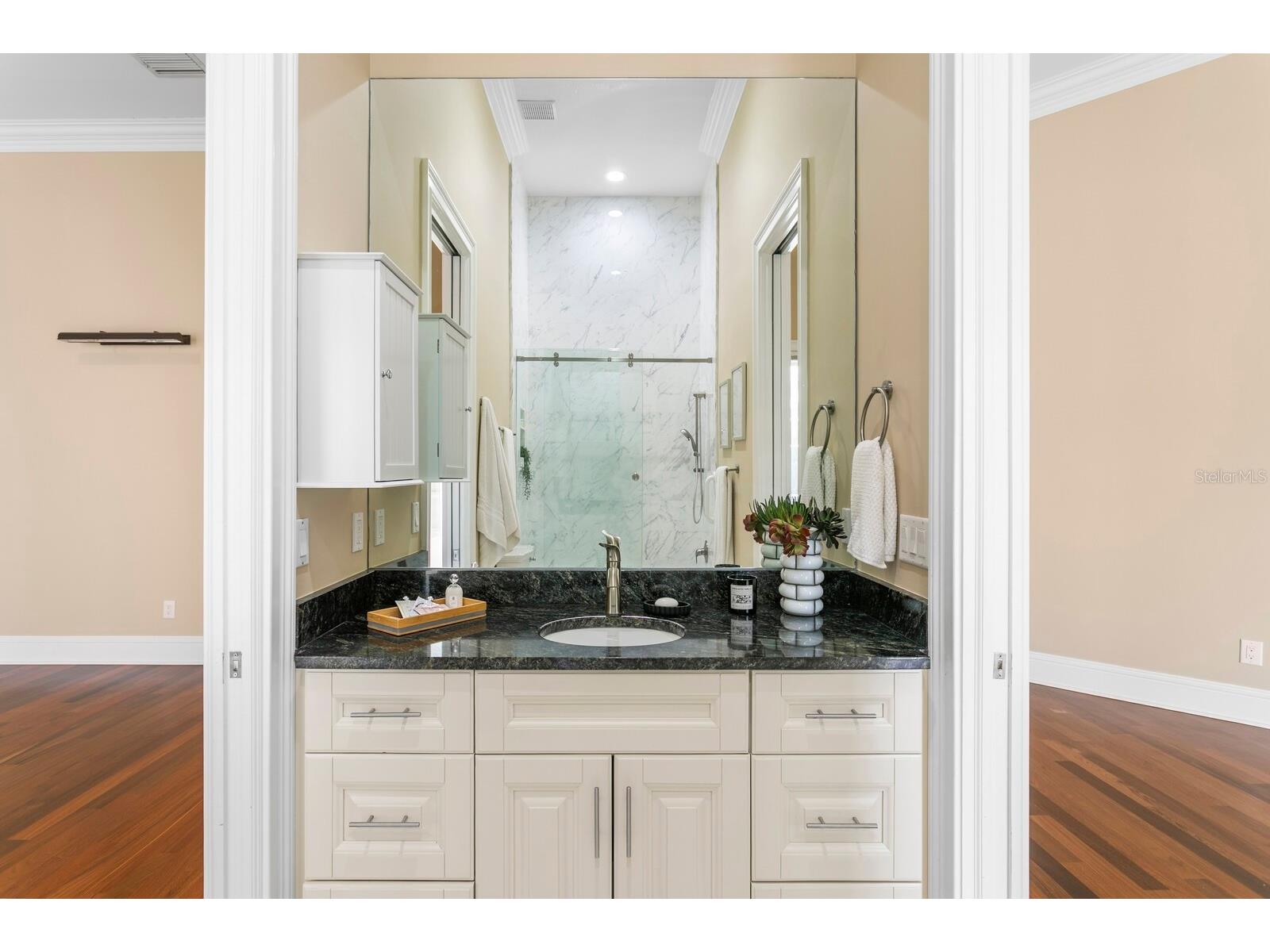 16504 Avila Boulevard Tampa FL 33613 TB8485075 image32