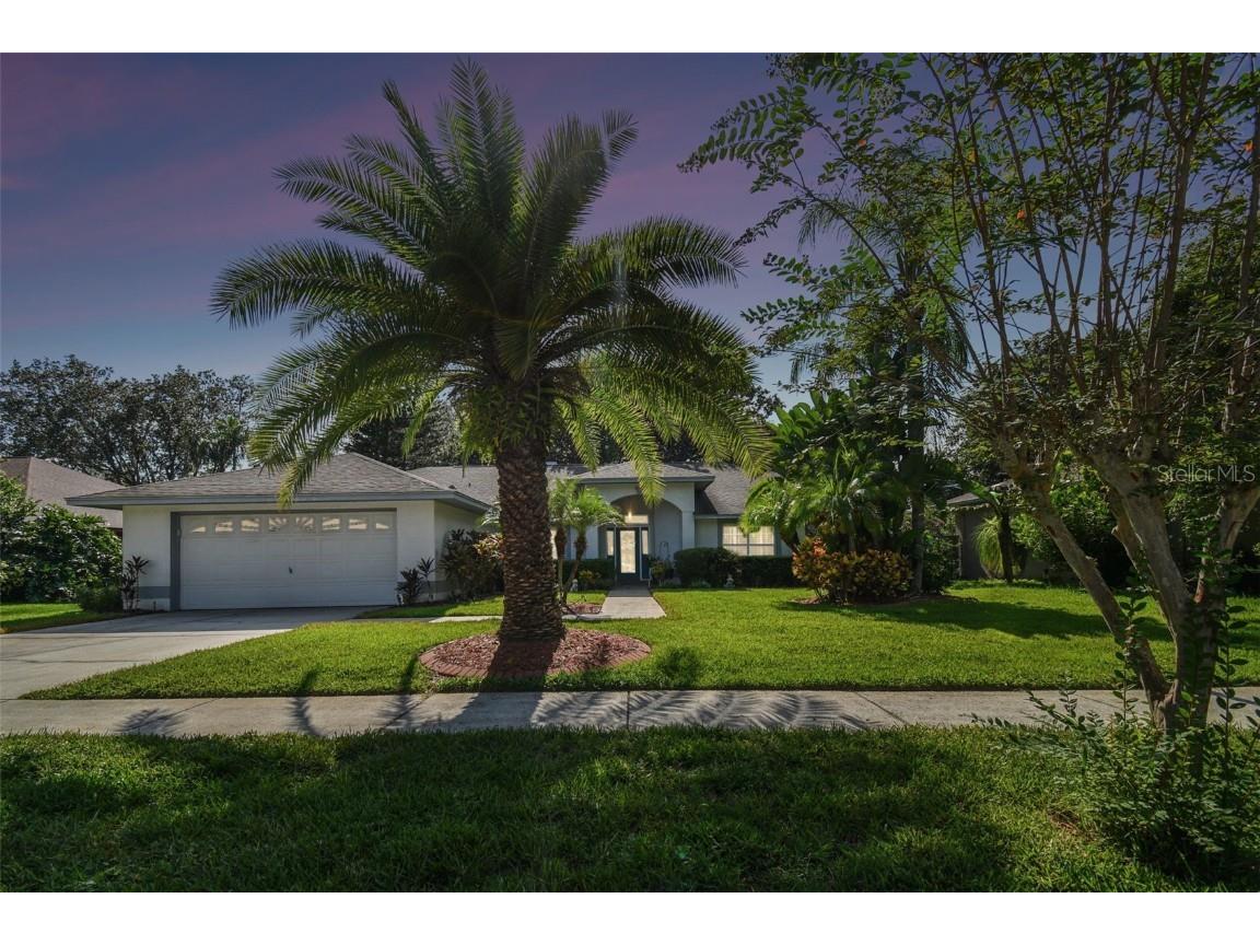 16504 Cayman Drive Tampa FL 33624 T3464993 image1