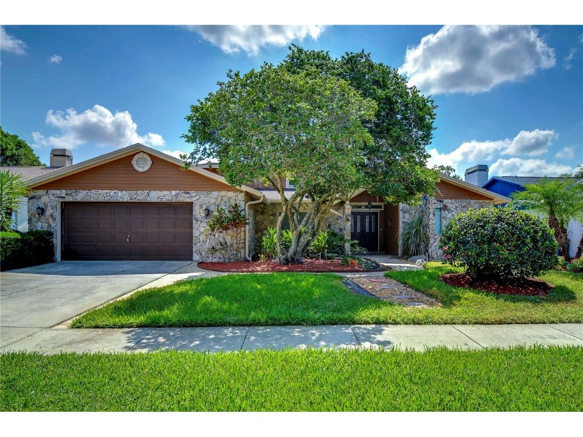 16505 E Course Drive Tampa FL 33624 T3532060 image1