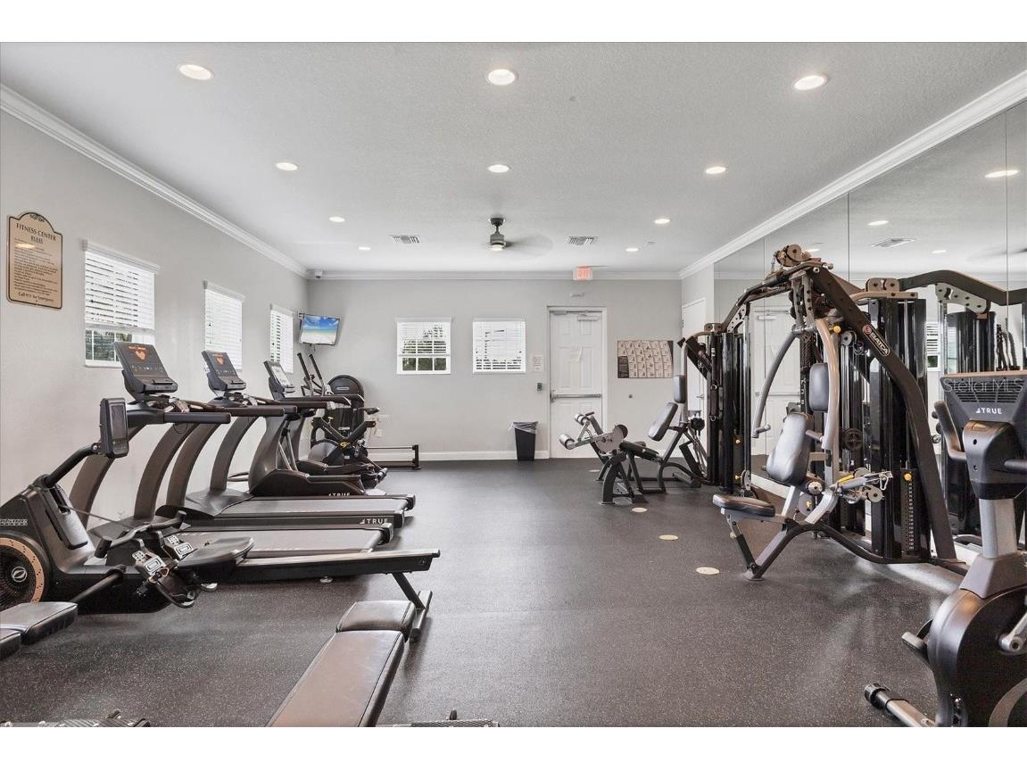 16505 Myrtle Sand Drive Wimauma FL 33598 TB8441153 image18