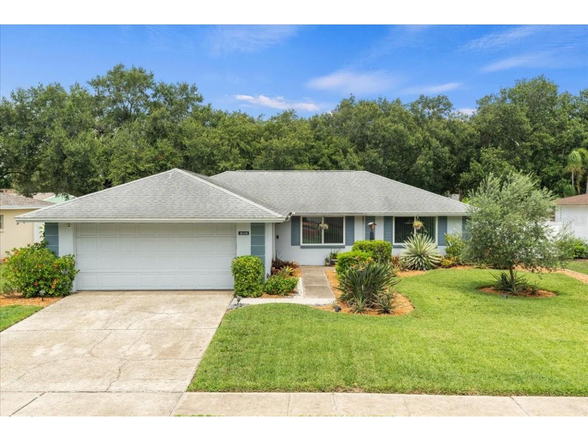 16506 Lonesdale Place Tampa FL 33624 T3455232 image1