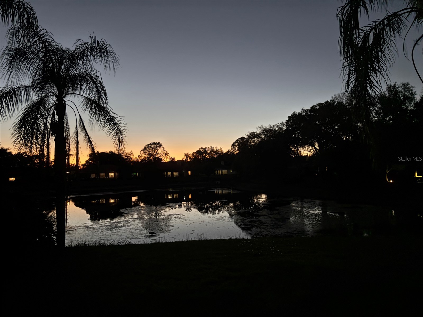 16506 Longleat Drive Lutz FL 33549 TB8477260 image14