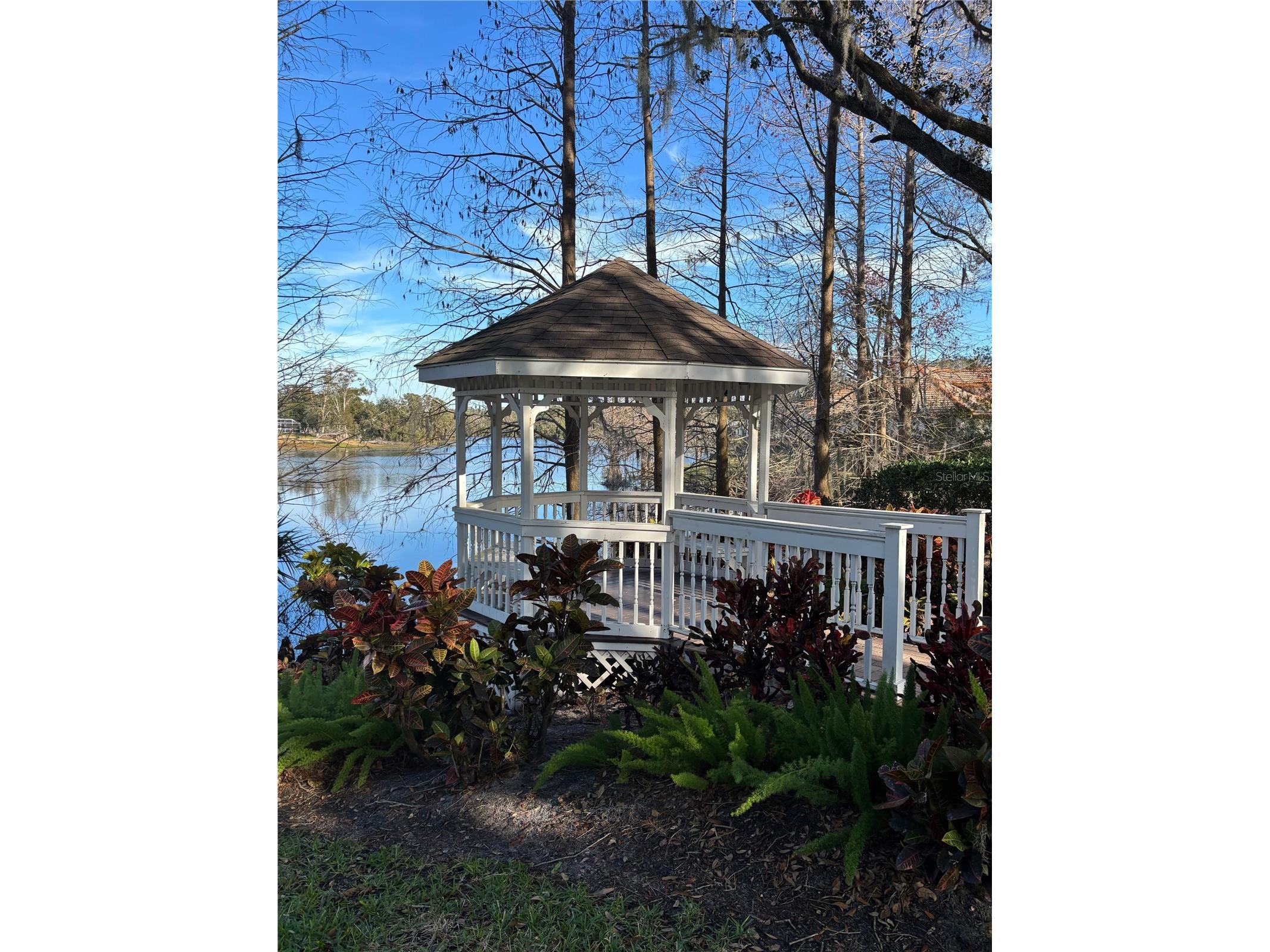 16506 Longleat Drive Lutz FL 33549 TB8477260 image53
