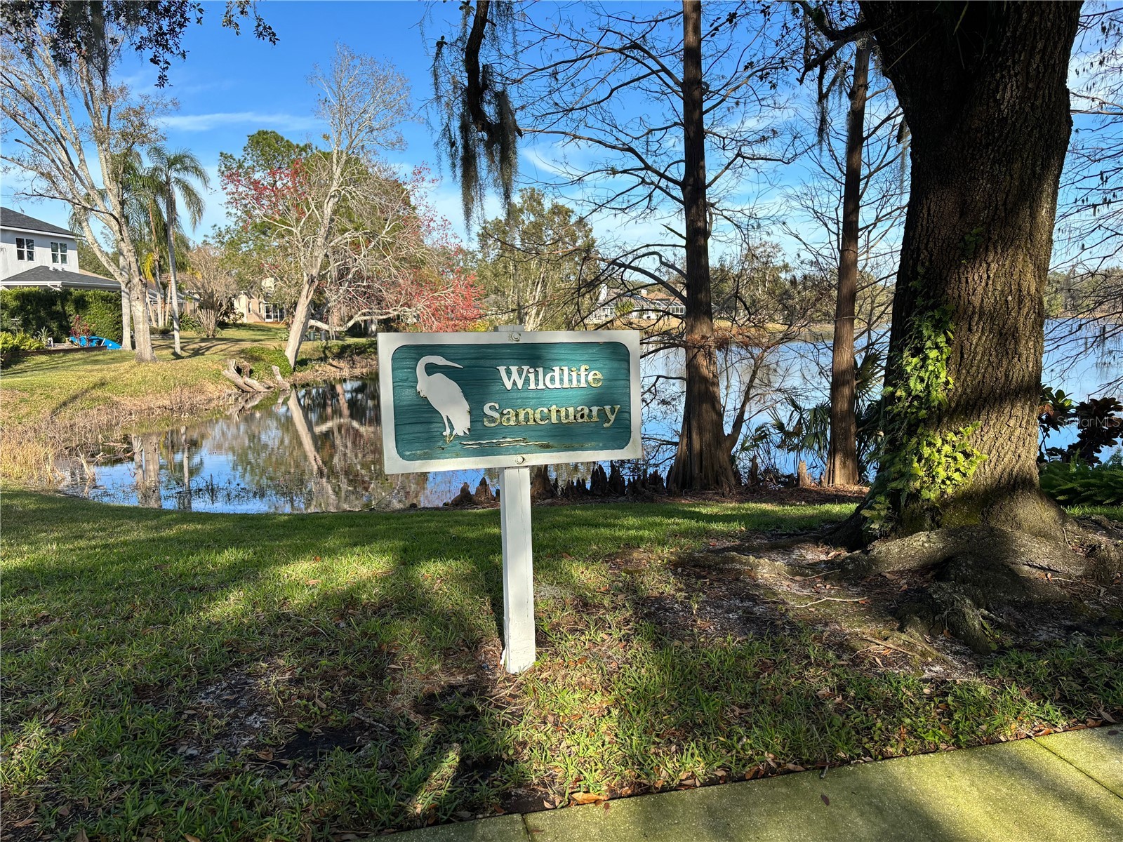 16506 Longleat Drive Lutz FL 33549 TB8477260 image54