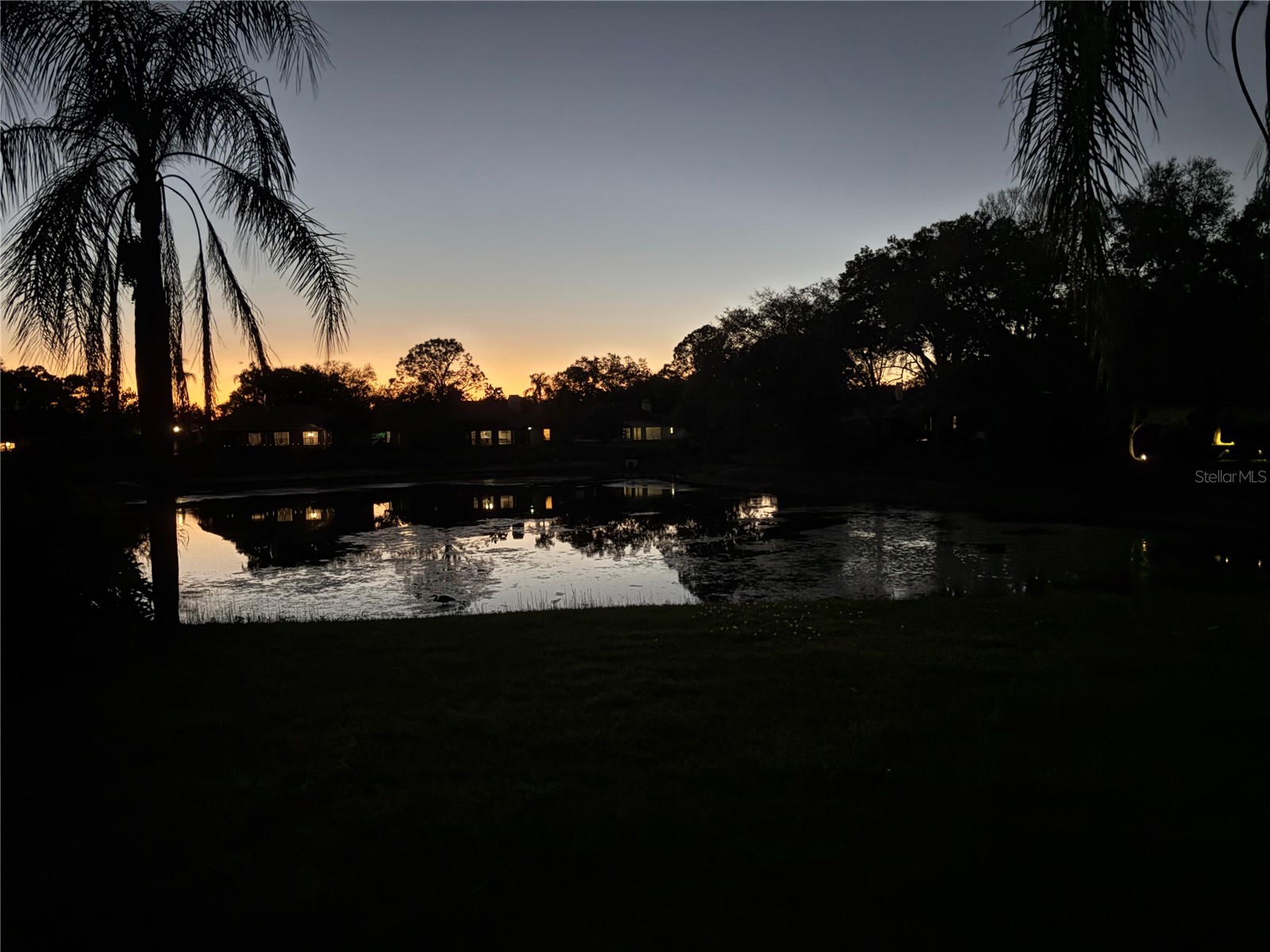 16506 Longleat Drive Lutz FL 33549 TB8477260 image57