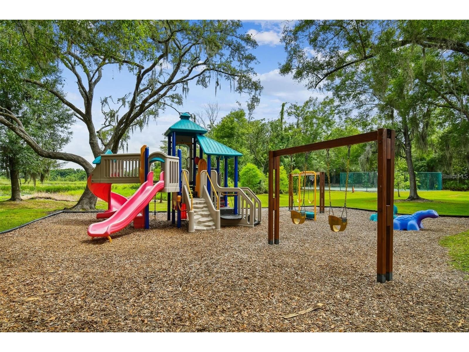 16506 Longleat Drive Lutz FL 33549 TB8477260 image60