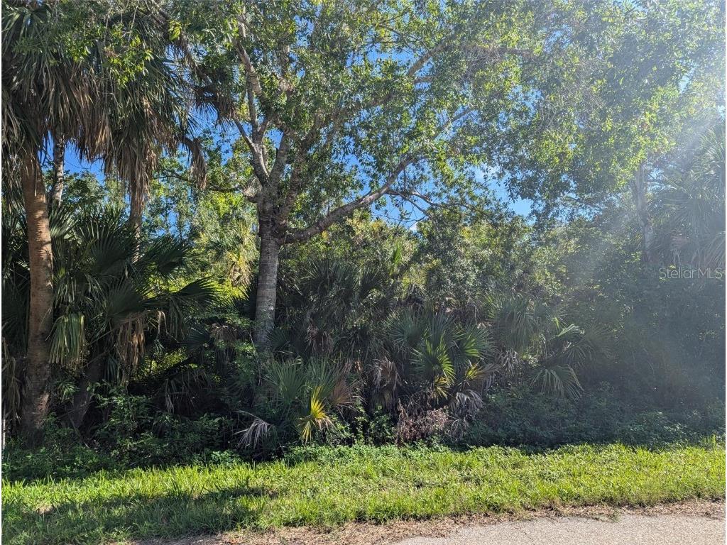 16506 Mclaury Avenue Port Charlotte FL 33954 D6142756 image3