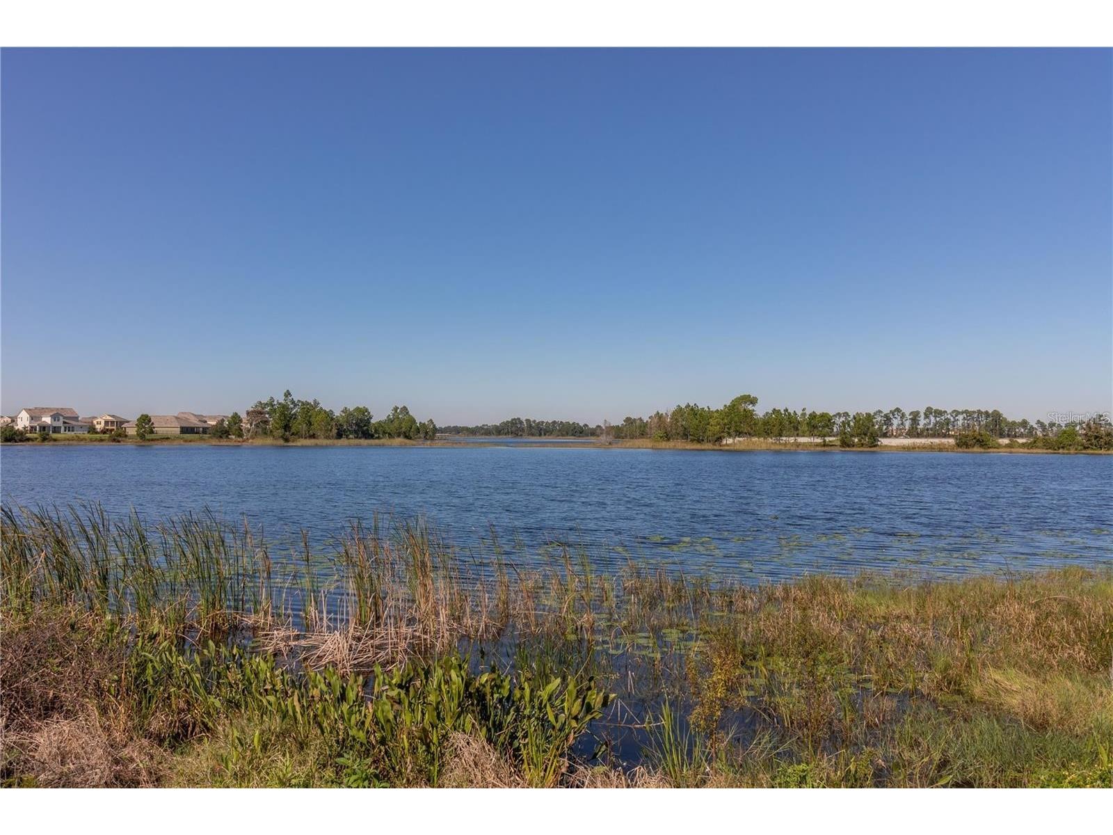 16507 Outter Grove Alley Winter Garden FL 34787 O6385049 image33