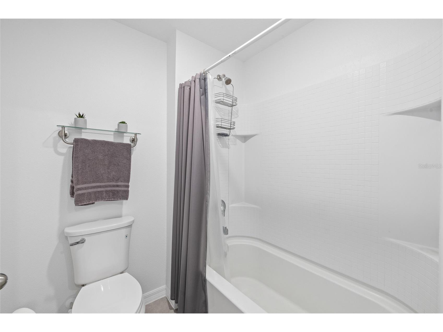16507 Windmill Forge Pass Wimauma FL 33598 TB8469023 image27