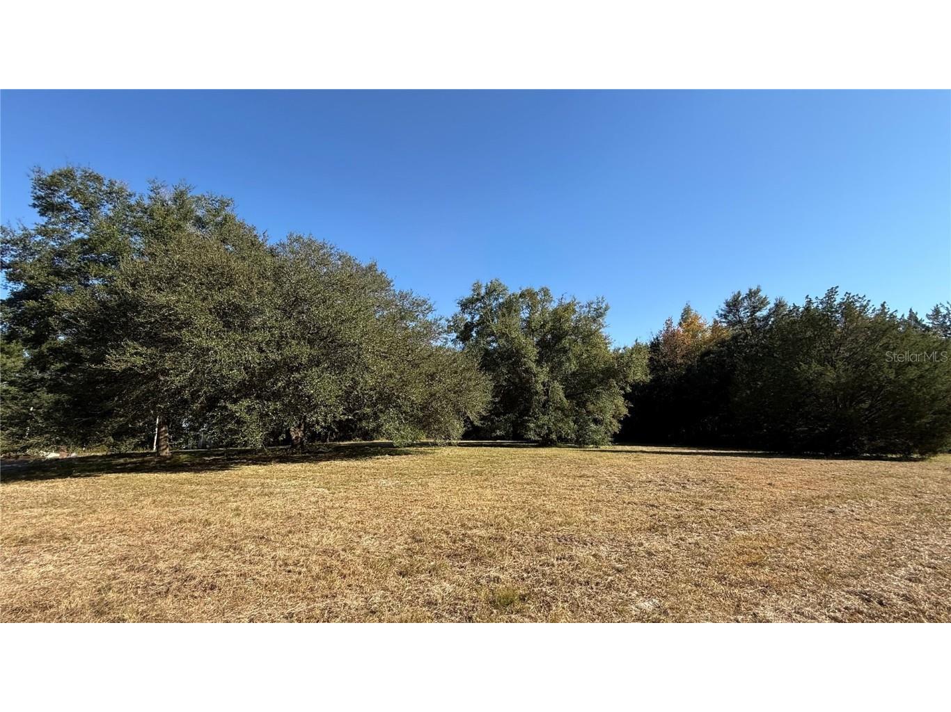 16508 NW 192nd Place Williston FL 32696 OM713617 image1