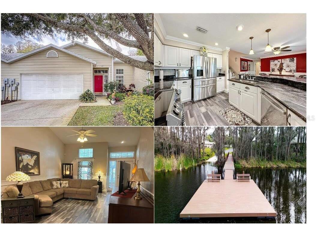 1651 Heron Cove Drive Lutz FL 33549 - BIRD LAKE T3500214 image1