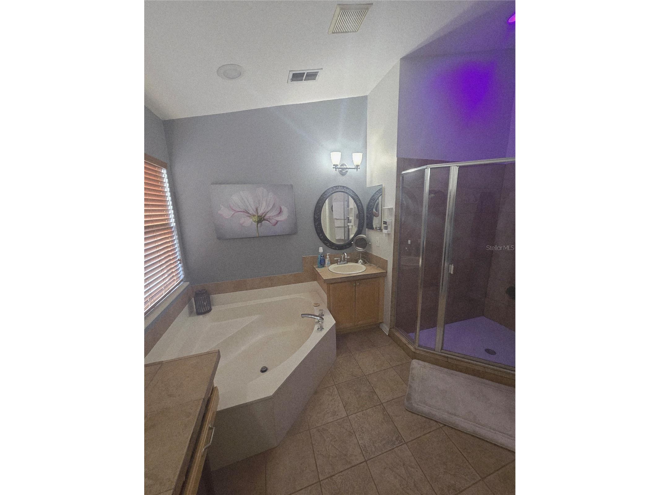 1651 River Birch Avenue Oviedo FL 32765 NS1088311 image16