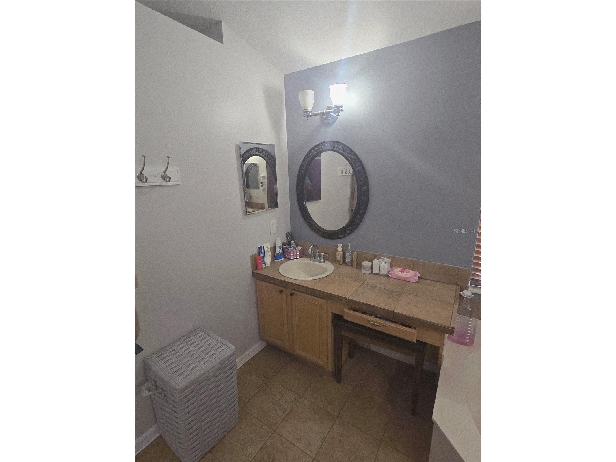 1651 River Birch Avenue Oviedo FL 32765 NS1088311 image17