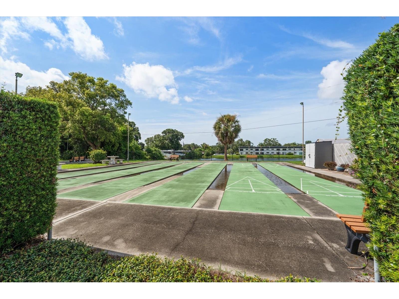 1651 S Lake Avenue #3 Clearwater FL 33756 TB8531704 image26