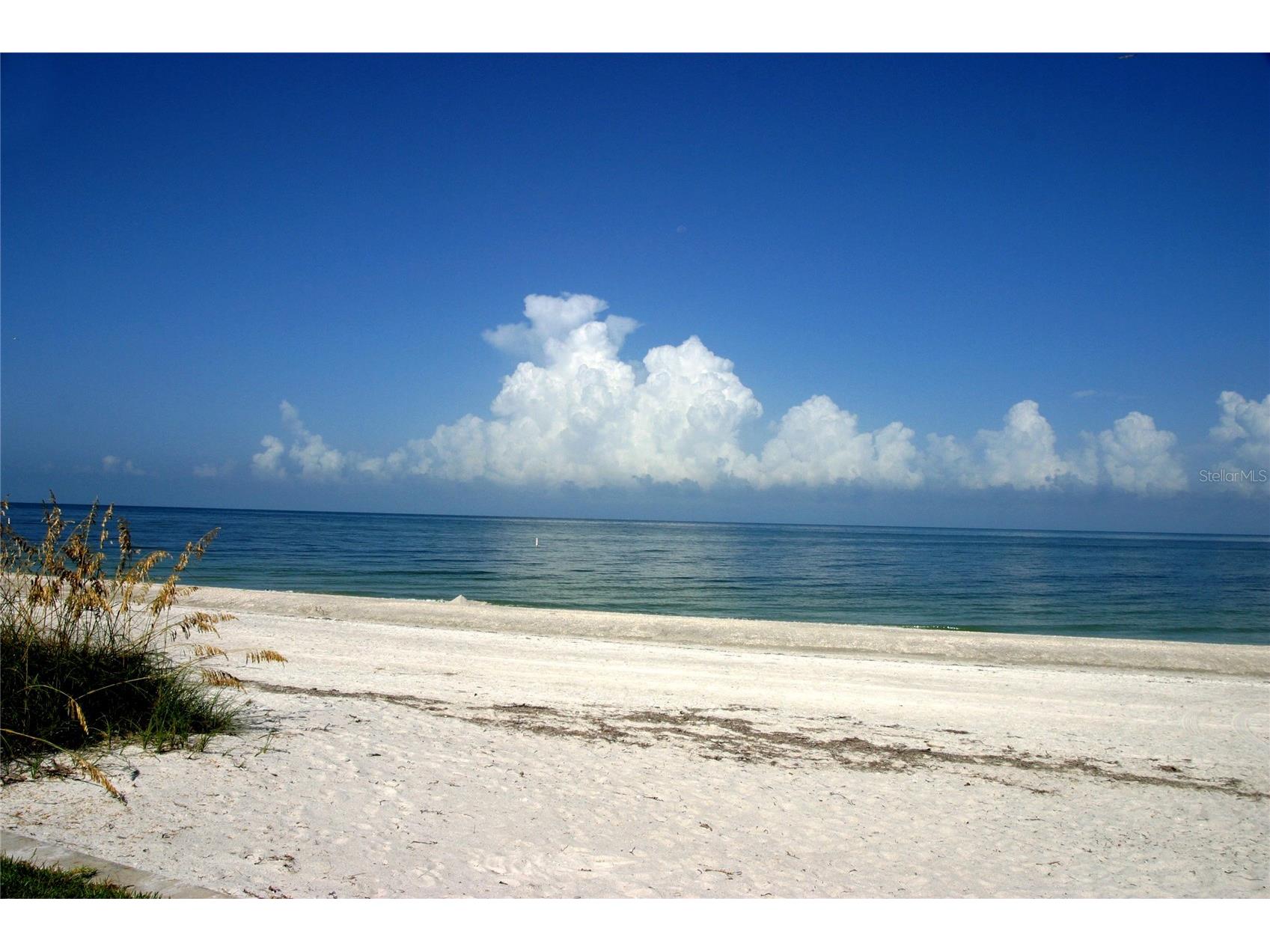 1651 Sand Key Estates Court #26 Clearwater Beach FL 33767 TB8474827 image36