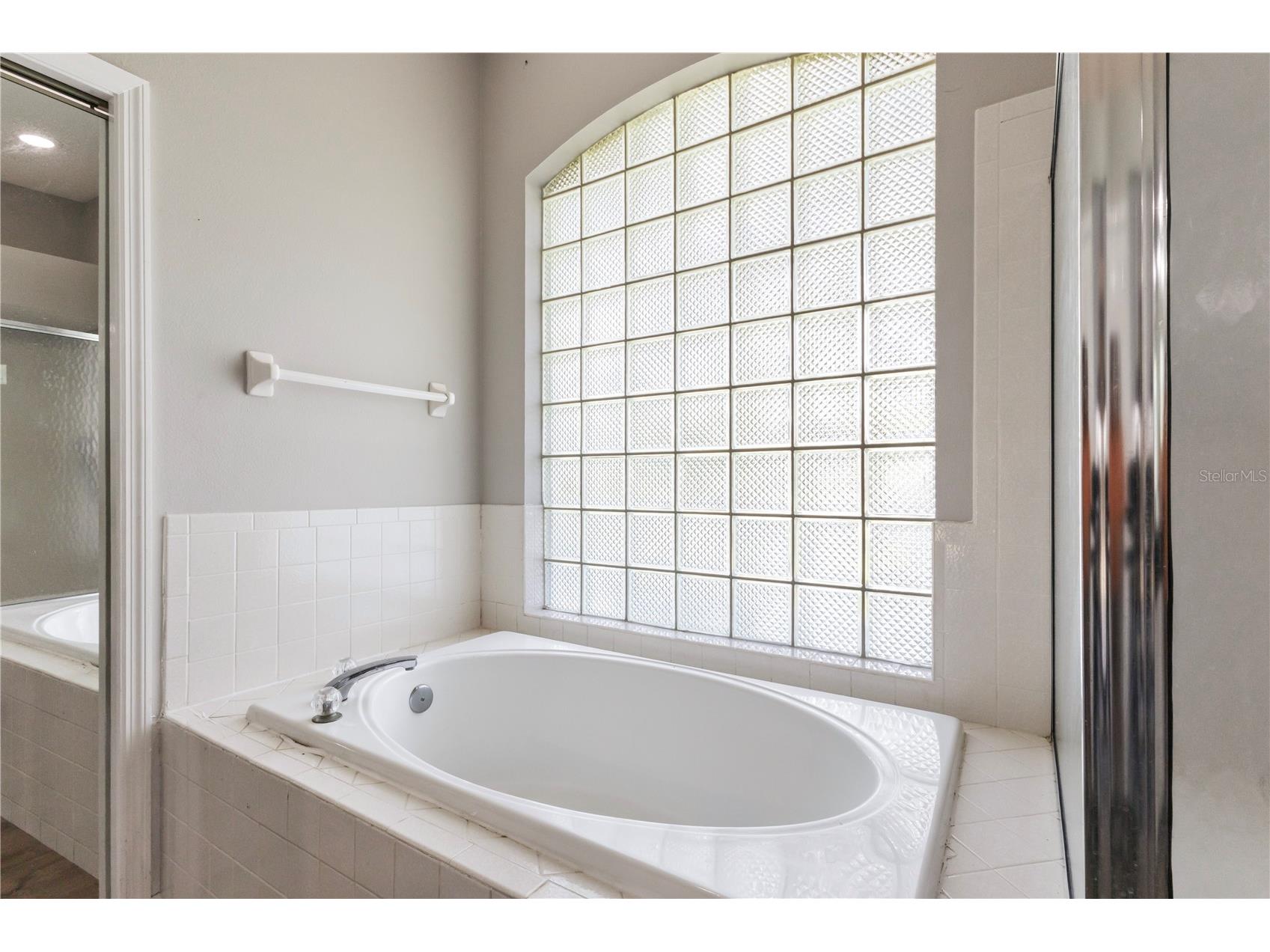 16512 Blenheim Drive Lutz FL 33549 TB8426342 image19