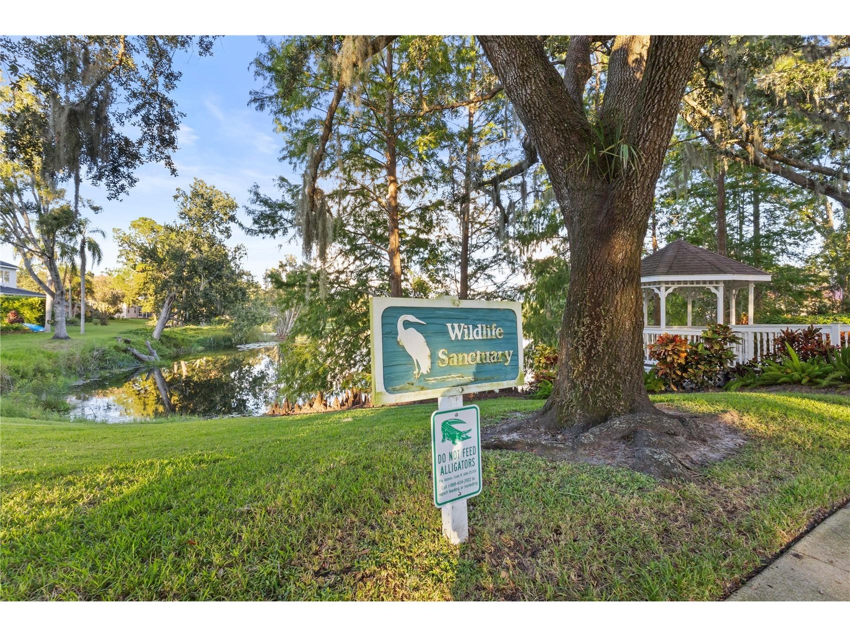 16512 Blenheim Drive Lutz FL 33549 TB8426342 image51