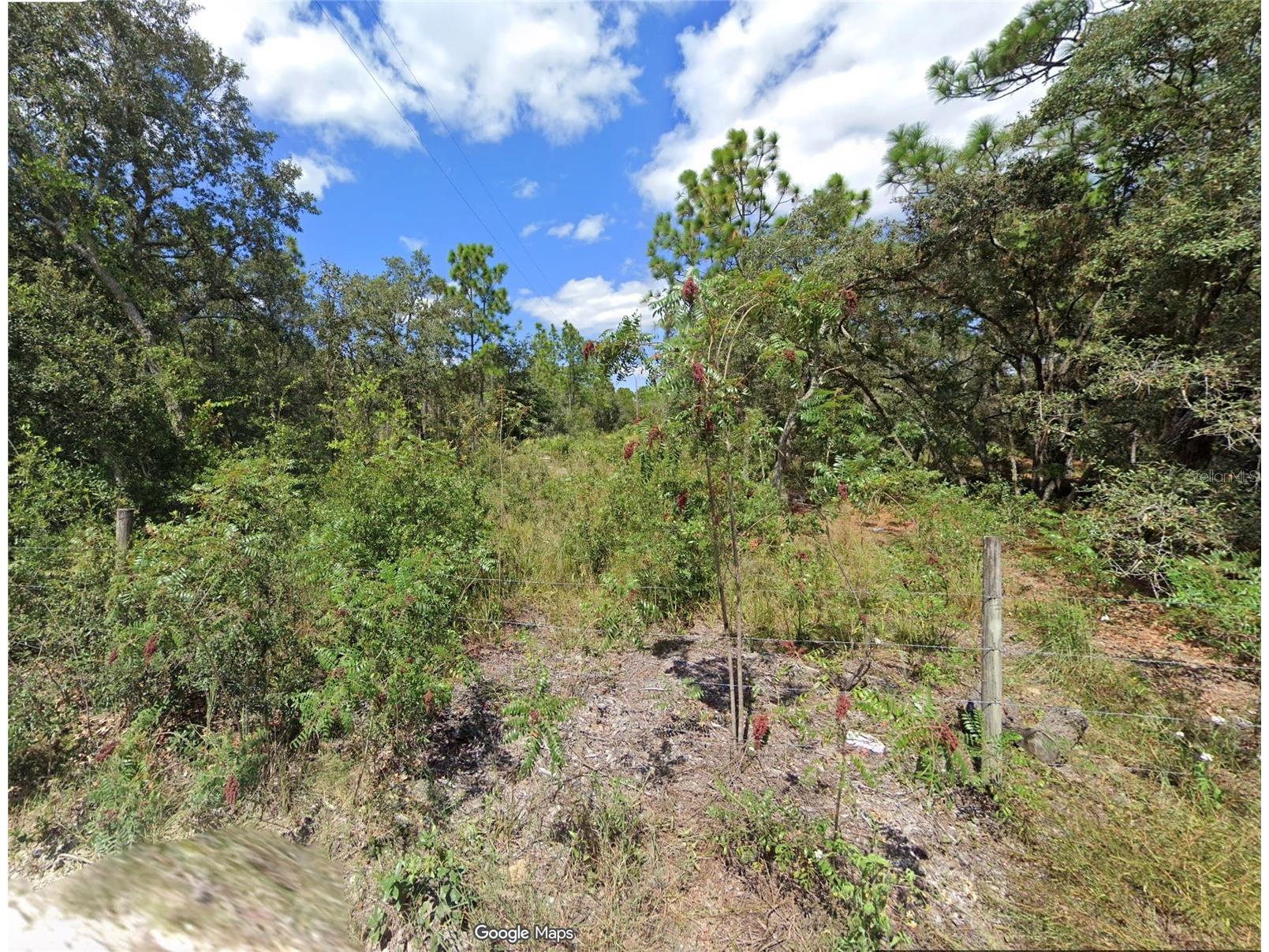 16513-16515 Breakwater Lane Spring Hill FL 34610 TB8487363 image3
