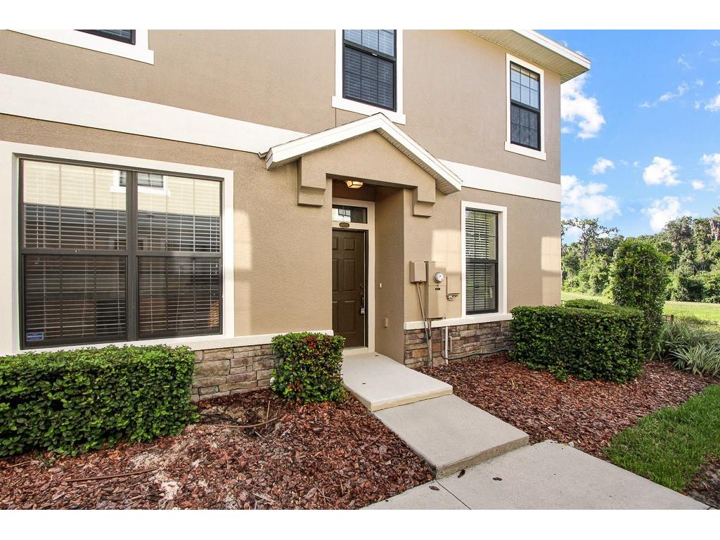 16513 Kingletridge Avenue Lithia FL 33547 T3542011 image1