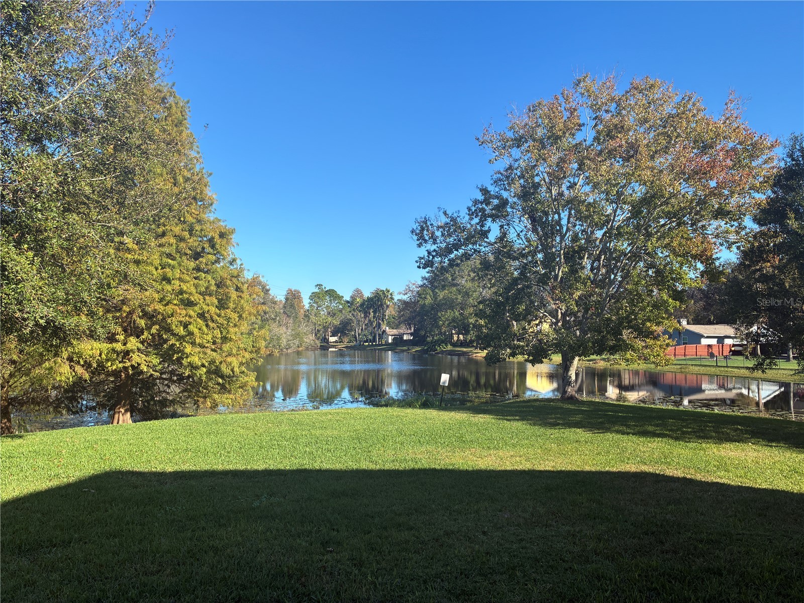 16513 Lake Brigadoon Cir Tampa FL 33618 TB8455627 image19