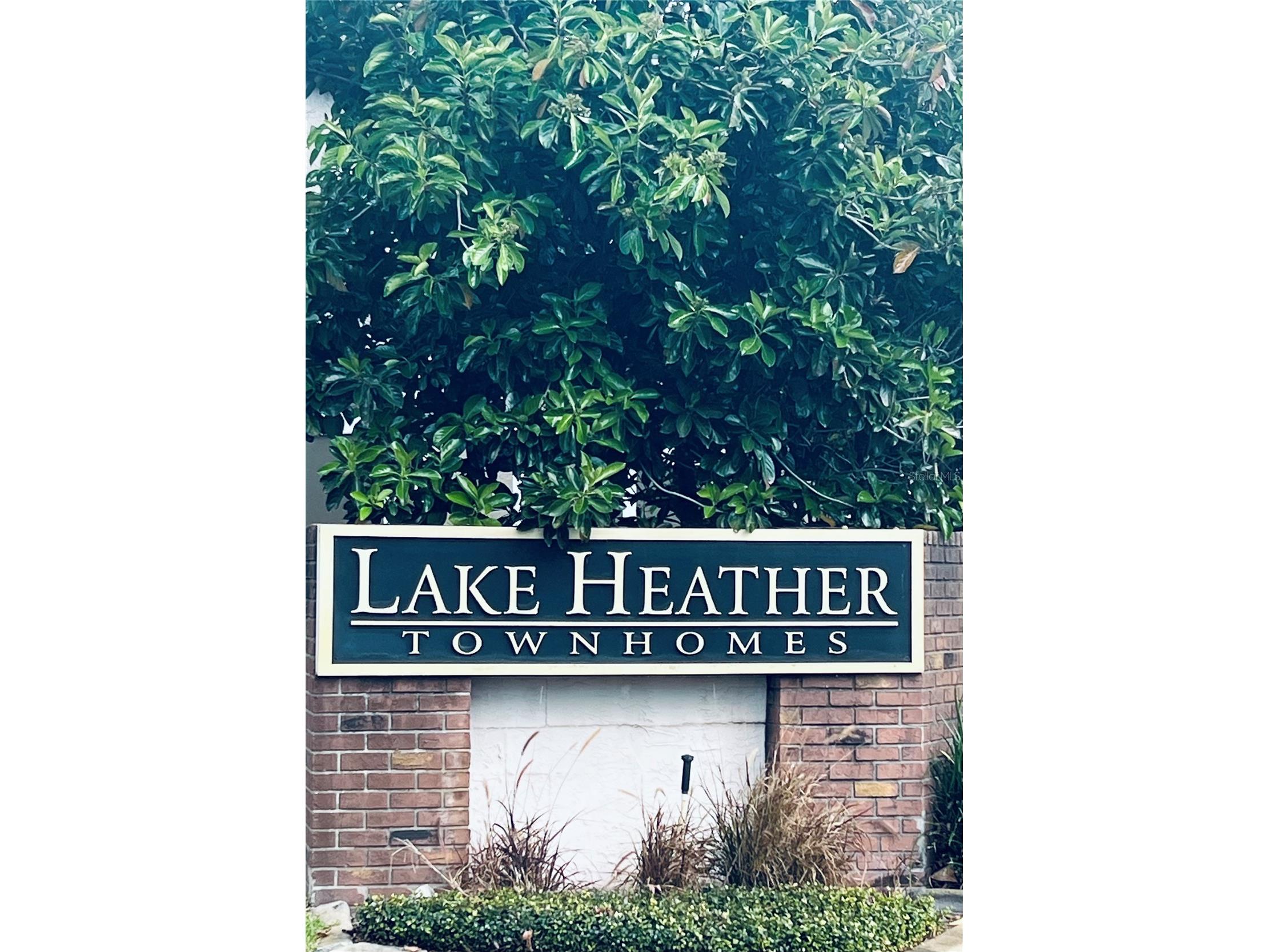 16513 Lake Brigadoon Cir Tampa FL 33618 TB8455627 image22