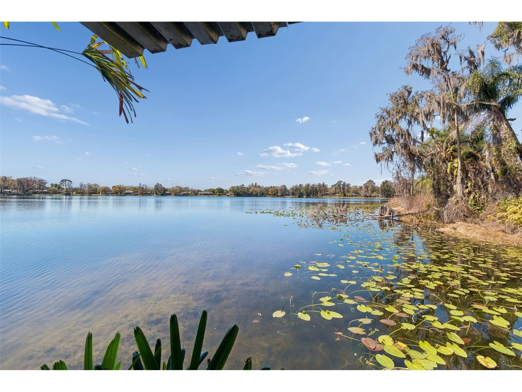 16515 Lake Church Drive Odessa FL 33556 - Church Lake TB8480587 image21