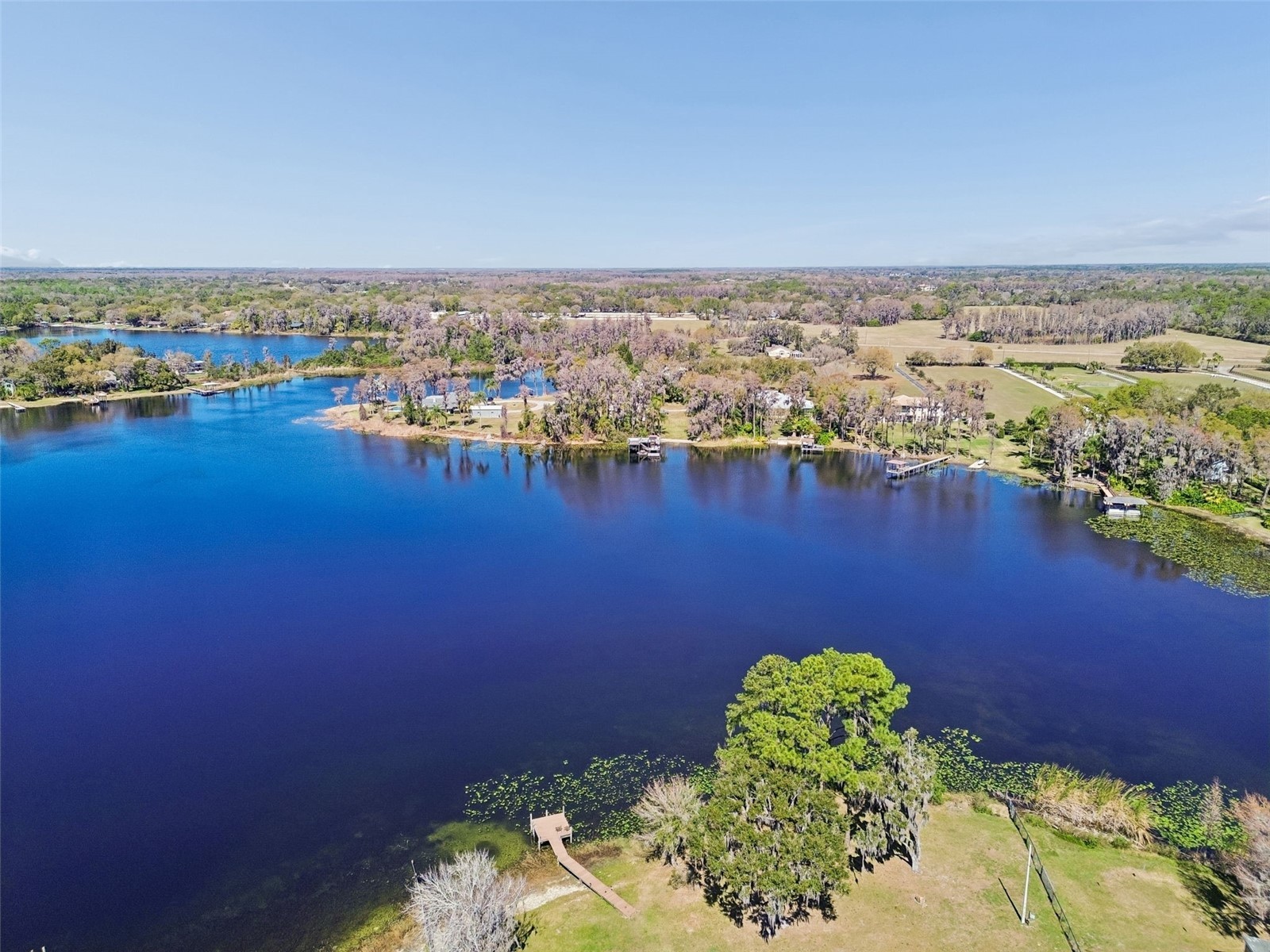 16515 Lake Church Drive Odessa FL 33556 - Church Lake TB8480587 image24