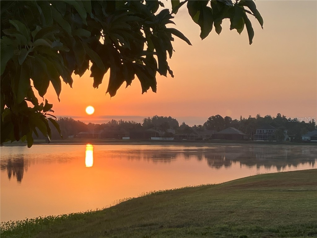 16515 Nikki Lane Odessa FL 33556 TB8388931 image37