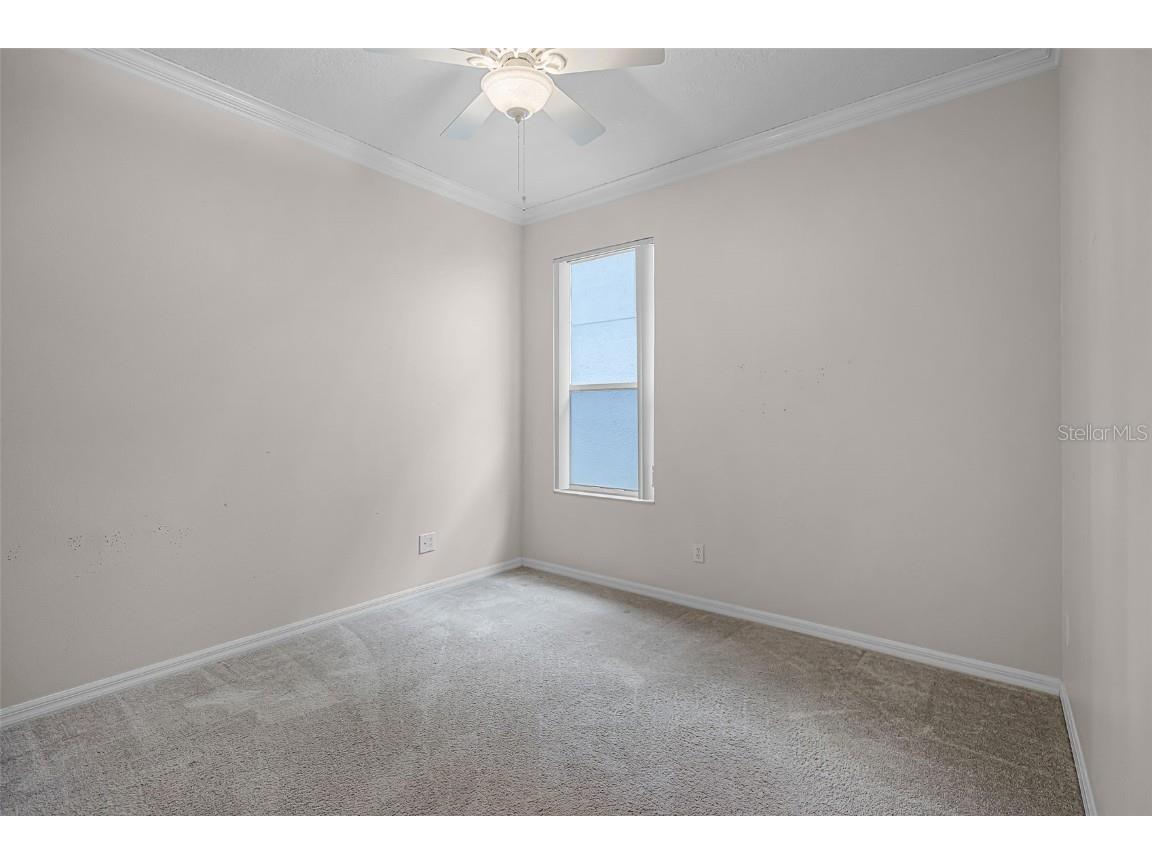 16515 Nikki Lane Odessa FL 33556 TB8447661 image16