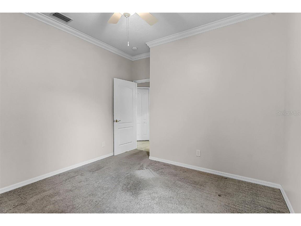 16515 Nikki Lane Odessa FL 33556 TB8447661 image20