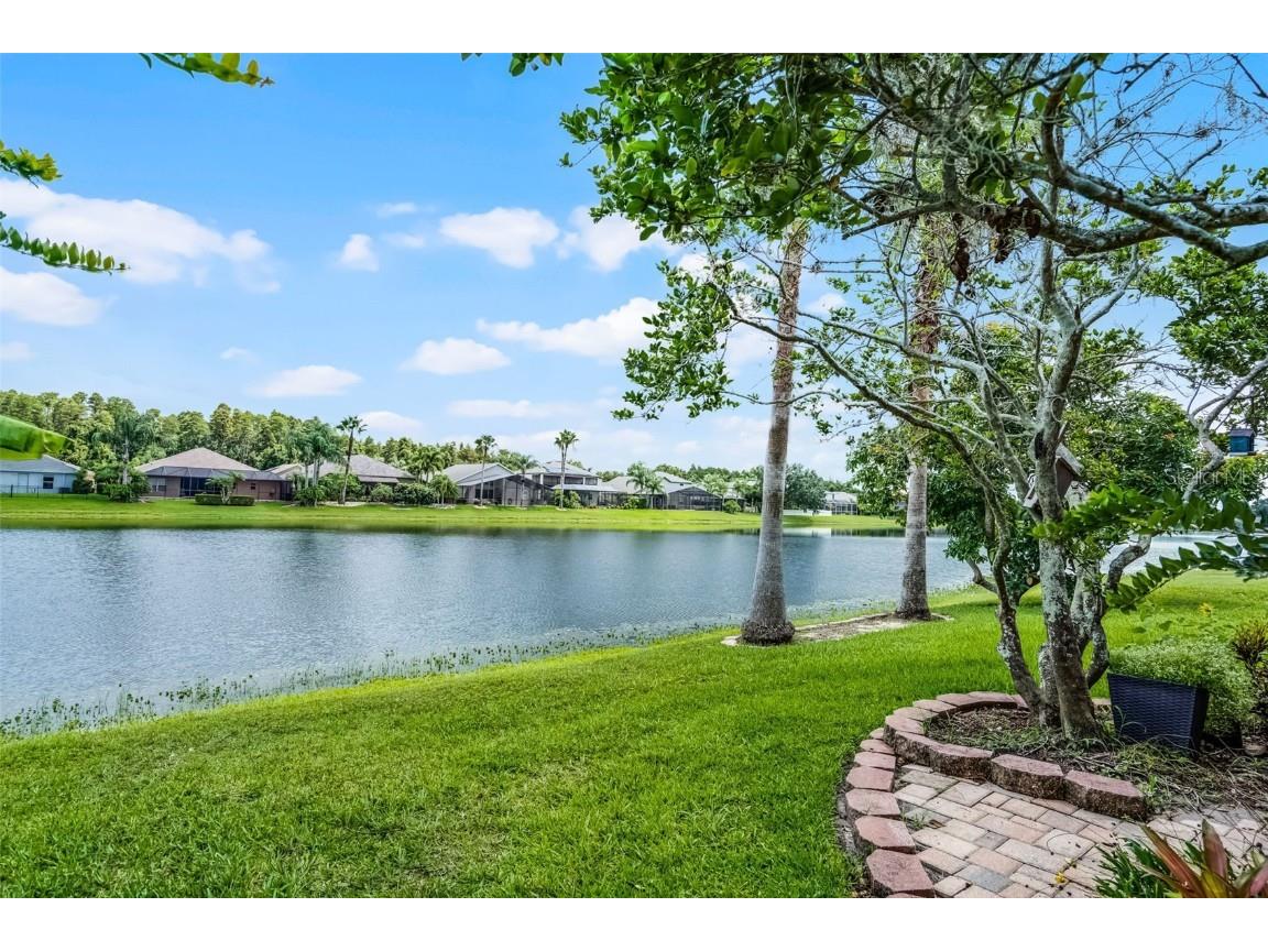 16515 Nikki Lane Odessa FL 33556 TB8447661 image28