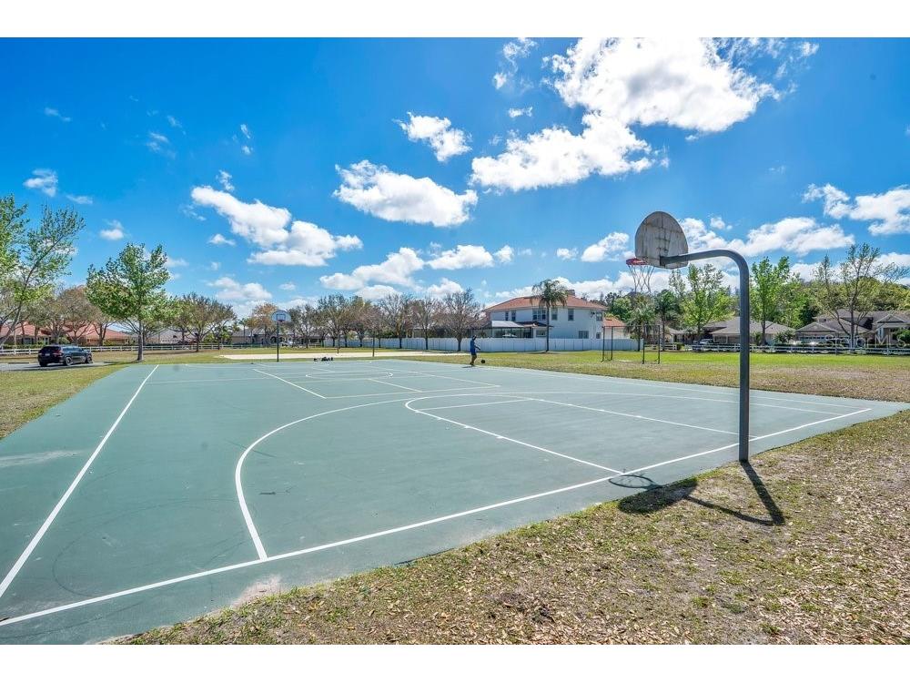 16515 Nikki Lane Odessa FL 33556 TB8483826 image35
