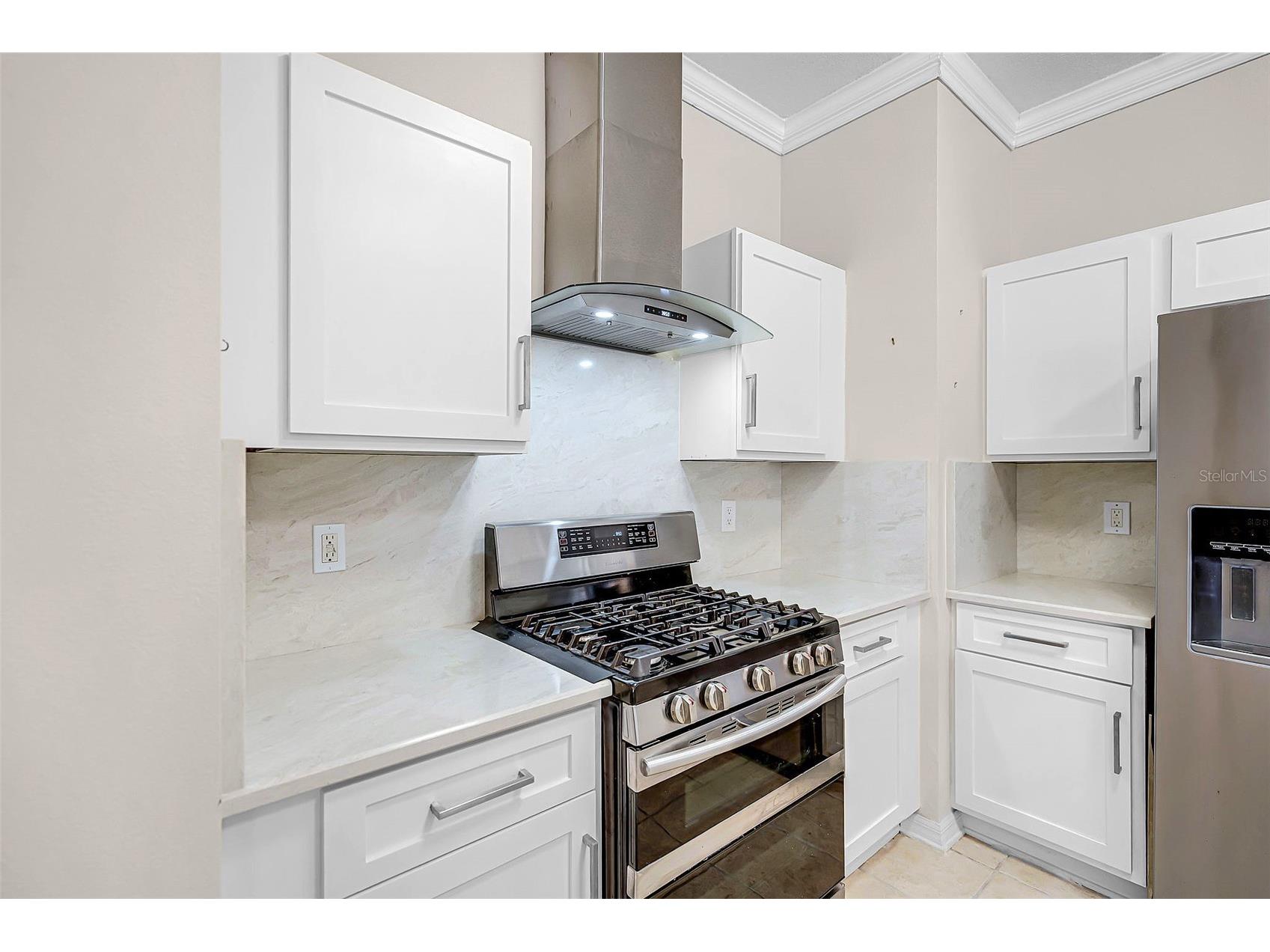 16515 Nikki Lane Odessa FL 33556 TB8483826 image8
